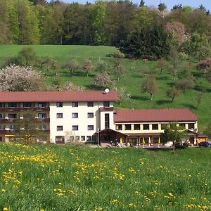 Hotel Dornröschen Höchst im Odenwald Exterior photo