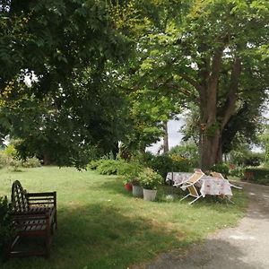 Bed and Breakfast Comme Chez Vous "Pour 4 Personnes" Puycornet Exterior photo