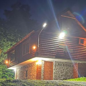 Bed and Breakfast Log Cabin 1 Merdovic Mojkovac Exterior photo