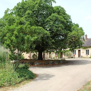 Gîte des Etangs de Beaulieu Le Plessis-Dorin Exterior photo