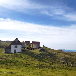 Ferienwohnung Katun Kuline Kolašin Exterior photo