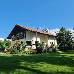 Villa Janet Dolna Banya Exterior photo