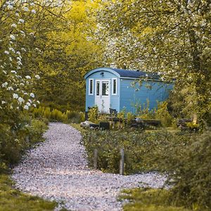 Tiny Houses Bij De Compagnons Waskemeer Exterior photo