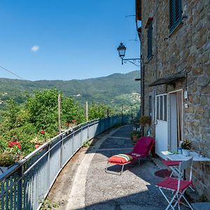 Villa Le Corti Pescia Exterior photo