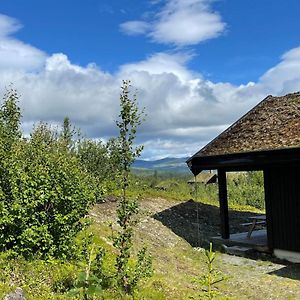 Linnaeus - 6 Person Cabin Ål Exterior photo