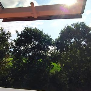 Ferienwohnung Fairschlafen-Dachstudio Bücken Exterior photo