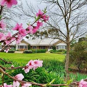 Seppeltsfield Vineyard Retreat - 3 Bedroom Holiday Home Exterior photo