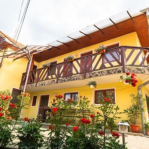 Bed and Breakfast Lazar Panzio Es Vendeghaz Forteni Exterior photo