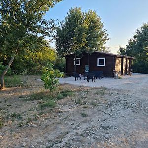 Villa Pons Family Martignargues Exterior photo