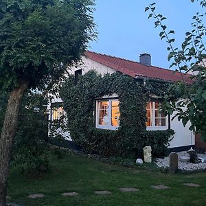 Ferienwohnung Idyllische Gaestehaus Im Gruenen Altenstädt Exterior photo