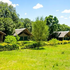 Hotel Giraffe Hills Mara Camp Maasai Mara Exterior photo