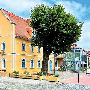 Hotel Pension "Zum Reussischen Hof" Thallwitz Exterior photo