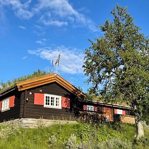 Villa Elveseter - Log Cabin With An Amazing View Lunde  Exterior photo