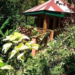 Berkey'S Jungle Paradise Resort Roseau Exterior photo