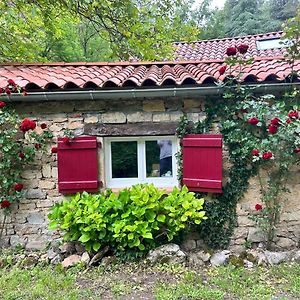 Bed and Breakfast Chambre En Bordure D'Aveyron Saint-Antonin Exterior photo