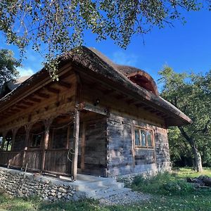 Gasthaus Complexul Turistic Casutele Din Gradina: Casuta Cu Stuf Marga Exterior photo