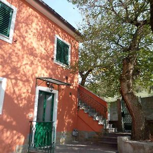 Bed and Breakfast Ai 2 Olmi - Monolocali Nel Verde Muggia Exterior photo