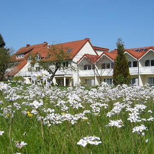 Hotel Gästehaus Steker Bad Driburg Exterior photo