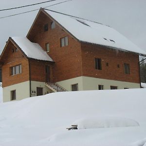 Hotel Pensiunea Aries Arieşeni Exterior photo