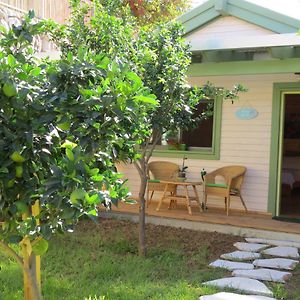 Villa Anat'S Cabin הצימר של ענת Kefar Hananya Exterior photo