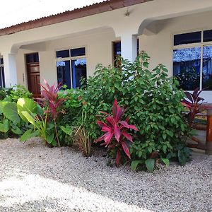 Bed and Breakfast Mana Nungwi Exterior photo