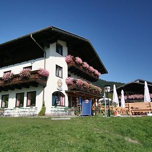 Bed and Breakfast Buttermilchalm Sankt Martin am Tennengebirge Exterior photo