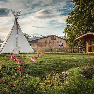 Villa Ranchhouse Bubble - Westernstable - Horse Elterlein Exterior photo