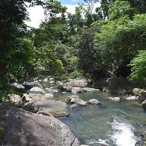 Villa La Casita Aesthetic Comfy House El Yunque Campamento Eliza Colberg Exterior photo