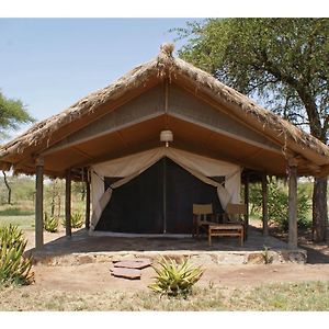 Hotel Ikoma Bush Camp Robanda Exterior photo