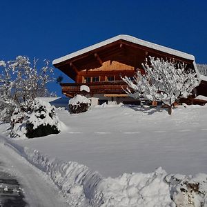 Ferienwohnung Obernauer Aurach bei Kitzbuehel Exterior photo