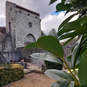 Hotel La Maison Du Prince De Conde Charroux-dʼAllier Exterior photo