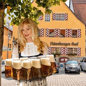 Hotel Nürnberger Hof in Altdorf Altdorf bei Nürnberg Exterior photo