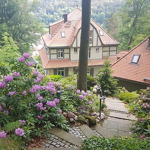 Villa Sonnenburg Bad Schandau Exterior photo