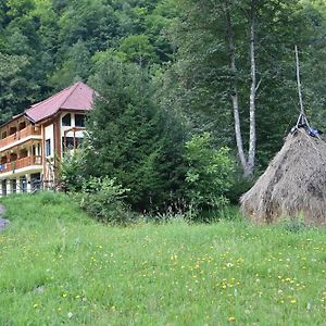 Hotel Pensiunea Tihna Rîu de Mori Exterior photo