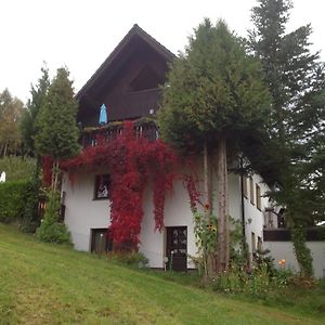 Ferienwohnung Waldblick Tannenberg Exterior photo