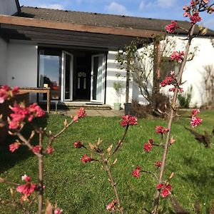 Villa Ferienhaus Seeblick Breitenbrunn  Exterior photo