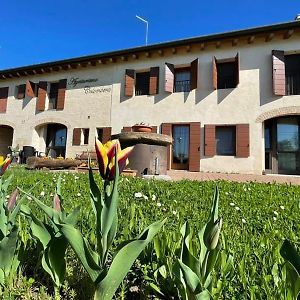 Gasthaus Agriturismo Colombera Quarto dʼAltino Exterior photo