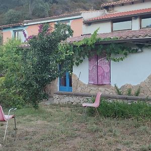 Bed and Breakfast Il Nuraghe Arbus Exterior photo