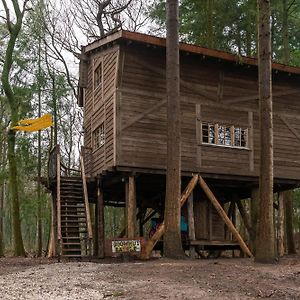 Ferienwohnung Boomhut Drouwenerzand Exterior photo