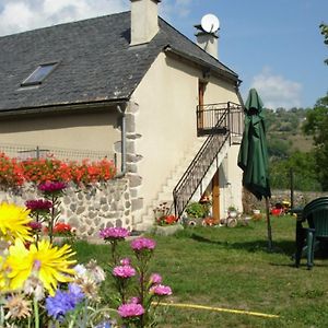 Gite A La Ferme, Proche Murat - 3 Chambres, Jardin, Balcon, Tv, Cuisine Equipee, Proche Activites - Fr-1-742-118 Albepierre-Bredons Exterior photo