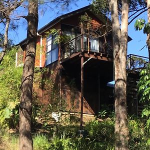 Beautifully Elevated Treehouse Apartment Buderim Exterior photo