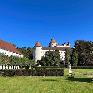 Villa Charming Castle In Austria Schwertberg Exterior photo