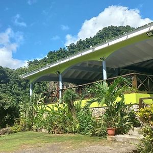 Villa Aura Dominica Roseau Exterior photo