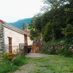 Villa Auberge De Lascours, Gite D'Etape Pleine Nature. Ceilhes-et-Rocozels Exterior photo