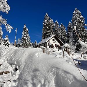 Villa Le Joly Chalet Saint-Imier Exterior photo