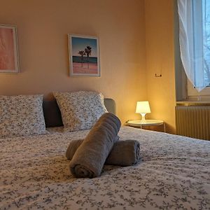 Le Balois - Appartement 2 Chambres, Salon, Cuisine Equipee, Parking Et Wifi Gratuit Mülhausen Exterior photo
