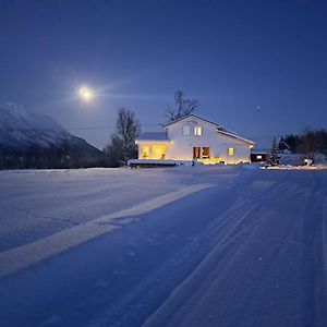 Mountainside Lodge - Breivikeidet Tromsø Exterior photo