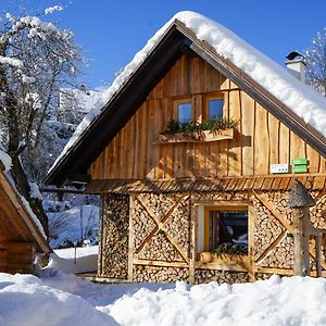 Villa Hike & Bike Chalet Bohinj Exterior photo