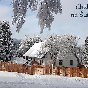 Villa Chalupa Na Sumave, Od Soboty Do Soboty Nová Ves Exterior photo