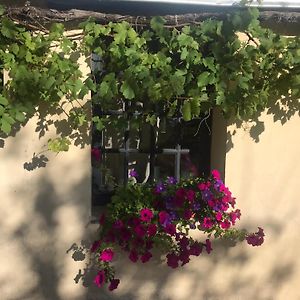 Bed and Breakfast La Vigne Saint-Jean-de-Rebervilliers Exterior photo